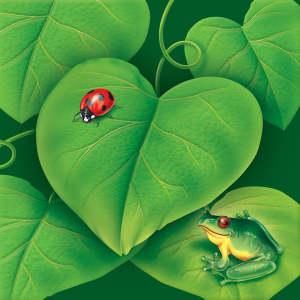 frog on a heart-shaped leaf